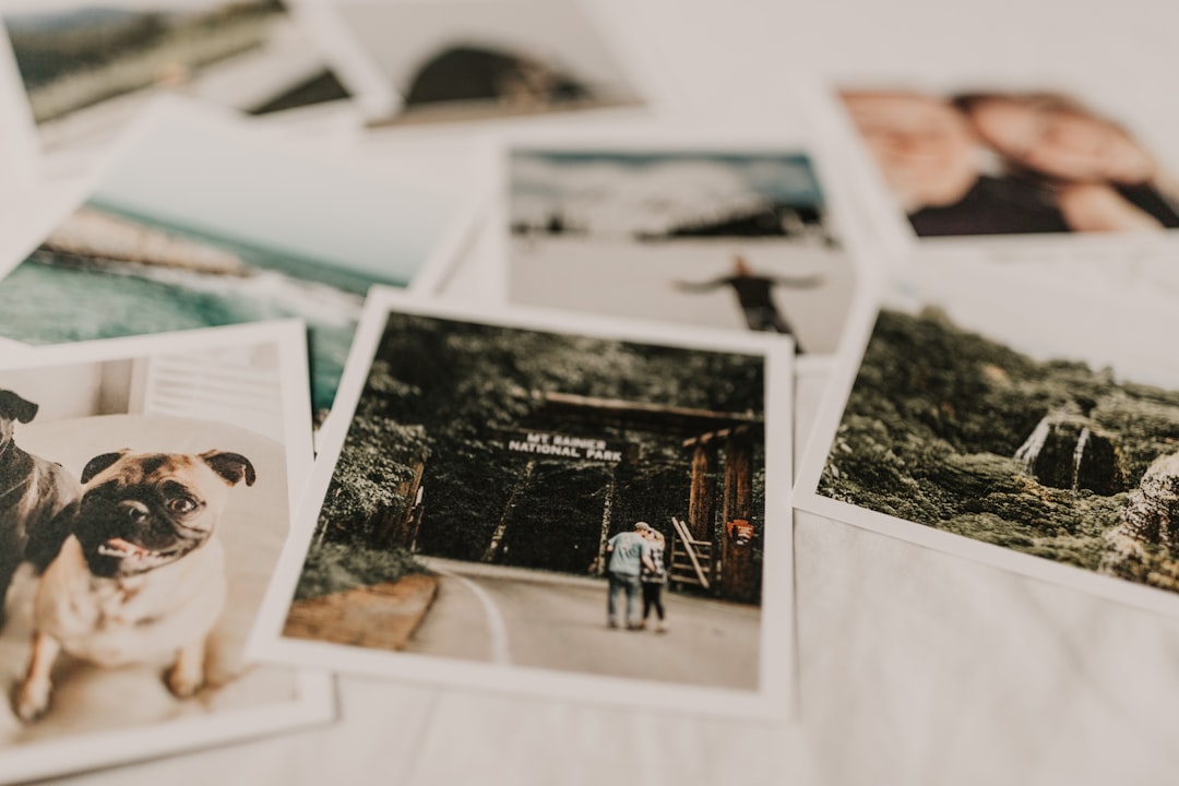 why-choose-us several-portraits-on-top-of-white-textile-qqd8aphaog4